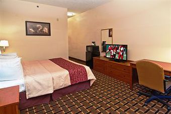 Hotel Red Roof Inn - Brandon