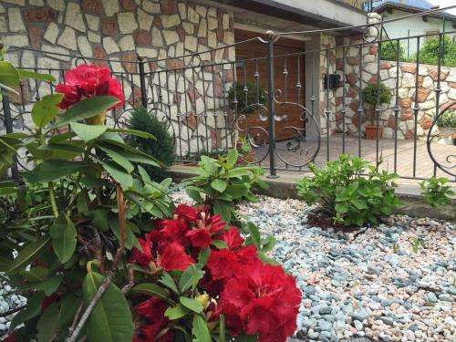 Apartamento Bella Vista
