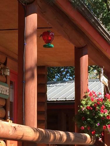 Lodge Teton Valley Cabins