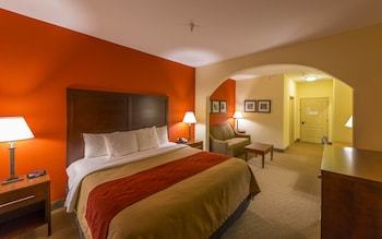 Hotel Comfort Inn & Suites Villa Rica