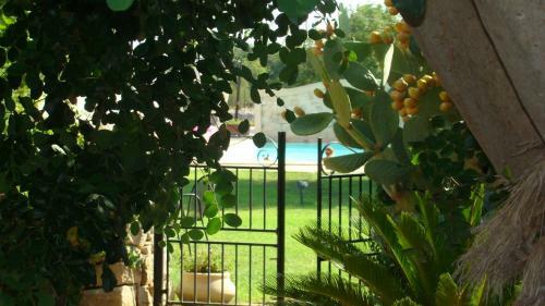Agroturismo Masseria Cianci�