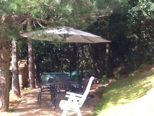 Dreamy Holiday Home In Casoli With Garden