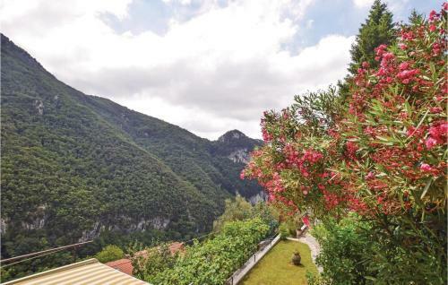 La Vigna