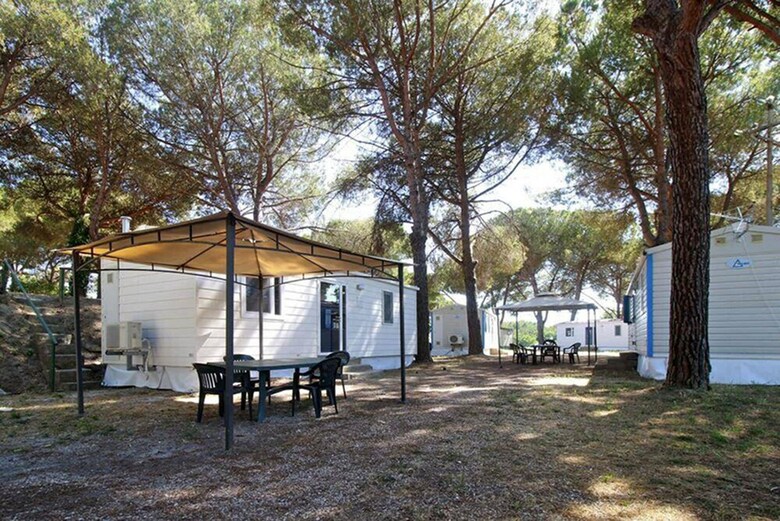 Aurelia Club