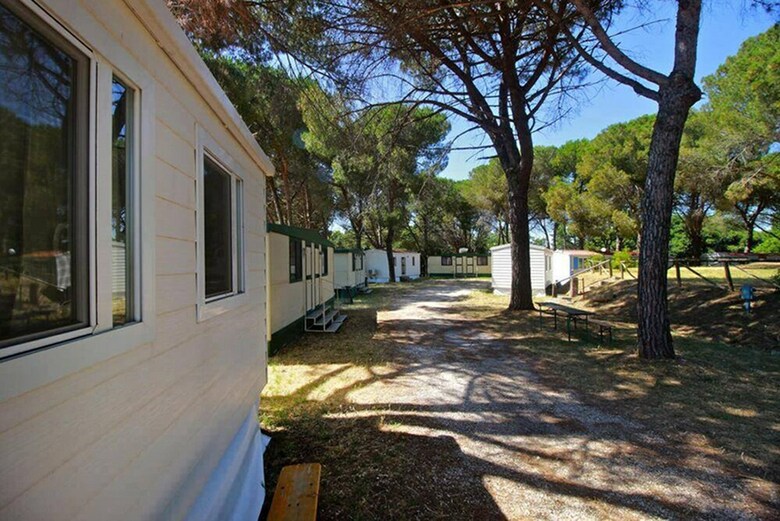 Aurelia Club