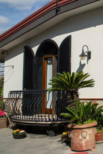 Ohana Bed And Breakfast