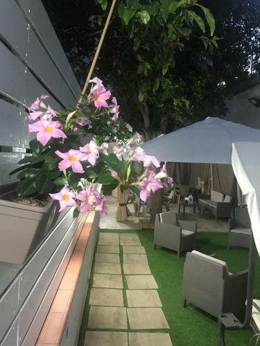 Bed & Breakfast Virgilio?s Garden