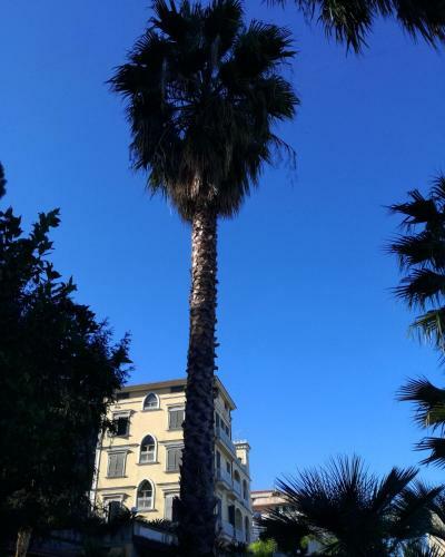 Bed & Breakfast La Finestra Di Fronte
