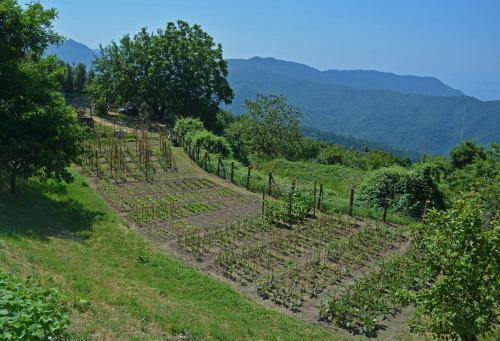 Agroturismo Agriturismo Monte Pu'