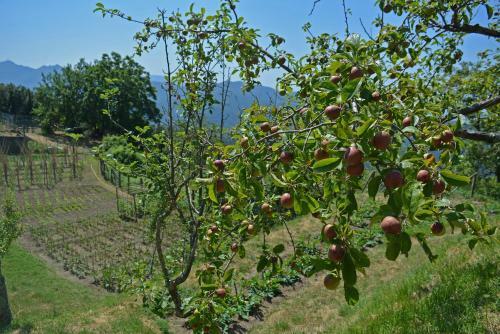 Agroturismo Agriturismo Monte Pu'