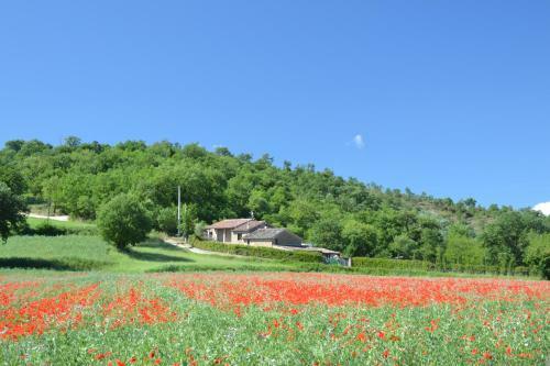 Casa Nestore Holiday Apartments