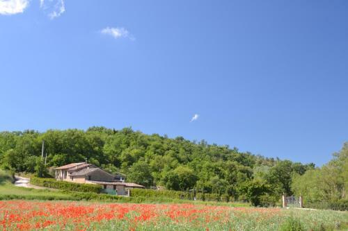 Casa Nestore Holiday Apartments