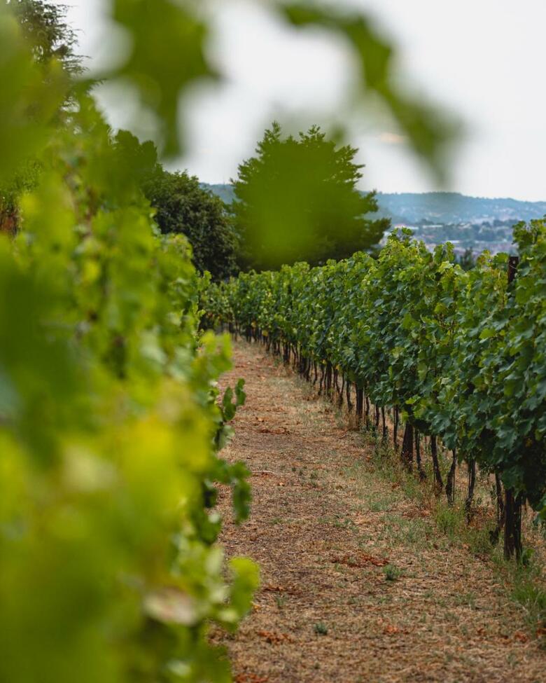 Agroturismo Tenuta Ronco Regio