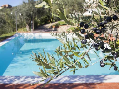 Modern Apartment In Larciano With Swimming Pool