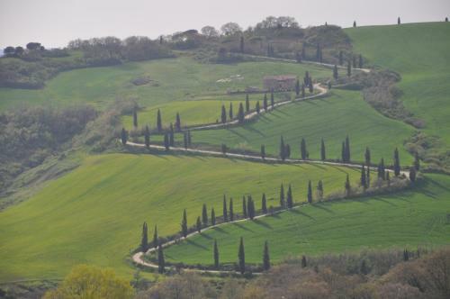 Apartamento Montepulciano Typical Place
