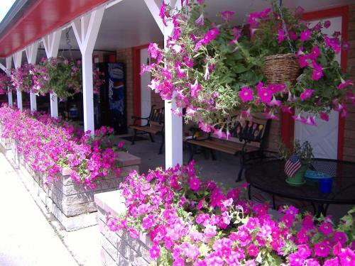 Greybull Motel