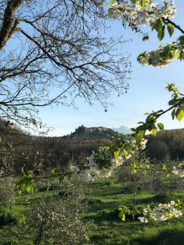 Agroturismo Agriturismo Fonteleccino