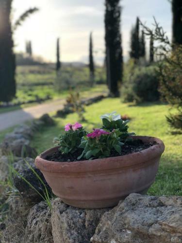 Agroturismo Agriturismo Fonteleccino
