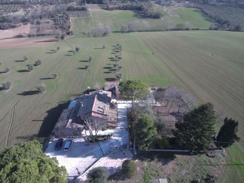 B&B Il Cavallino