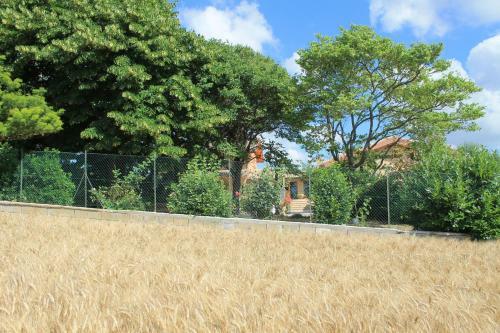 B&B Il Cavallino