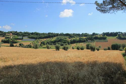B&B Il Cavallino