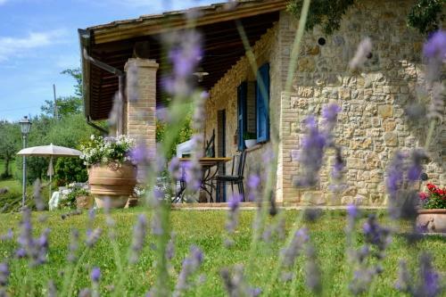 Collazzone Villa Sleeps 4 Air Con Wifi