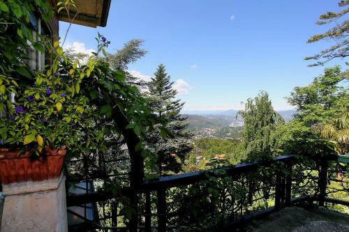 Apartamento Bella Como Panoramica