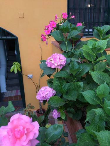 B&B Rosaria Amalfi Coast