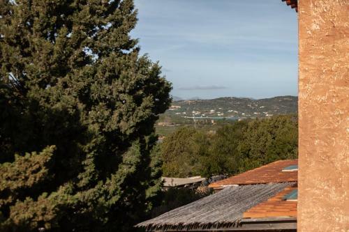 Apartamento Aria Di Vacanza-corallina