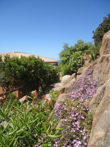 Villetta Cecilia