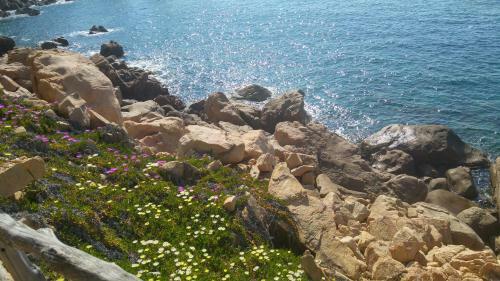 Apartamento Villa Vittorio