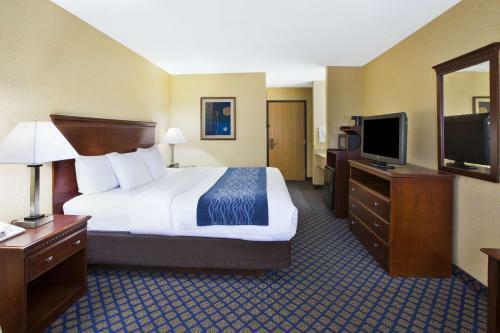 Hotel Comfort Inn Grand Blanc