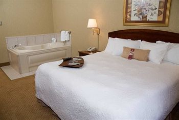 Hotel Hampton Inn Chicopee - Springfield