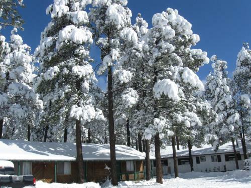 Posada Timberlodge Inn
