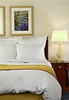 Hotel Minneapolis Marriott Southwest
