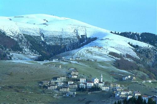Hotel Albergo Al Pino