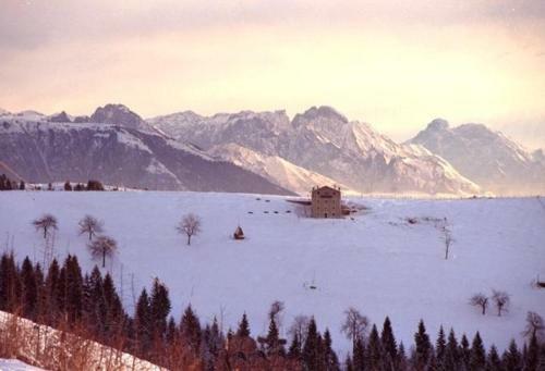Hotel Albergo Al Pino