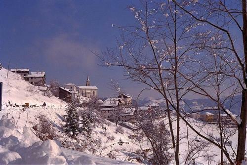 Hotel Albergo Al Pino