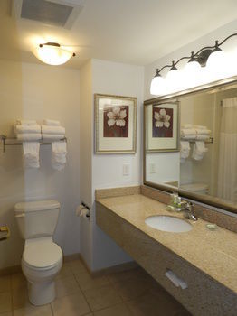 Hotel Country Inn & Suites By Carlson Braselton