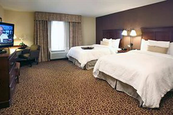 Hotel Hampton Inn Springfield South Enfield