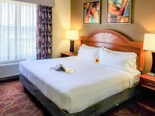 Holiday Inn Express Hotel & Suites Orange City