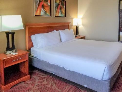 Holiday Inn Express Hotel & Suites Orange City