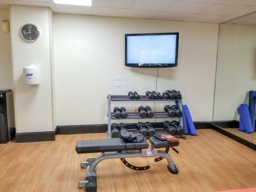 Holiday Inn Express Hotel & Suites Orange City