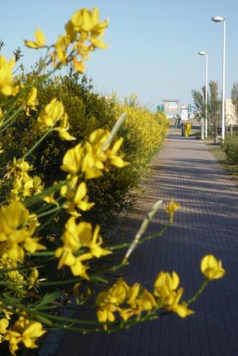 Holiday Home In Eraclea Mare 25699