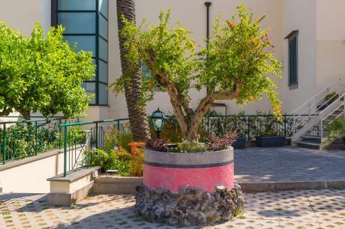 Apartamento Melograno Undici