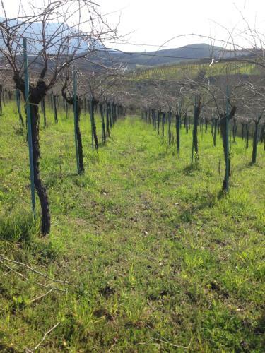 Agroturismo Locanda Marzi