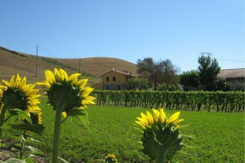 Fattoria Spedaletto Apartment Sleeps 6 Pool Wifi