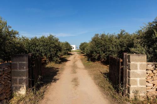 Le Casette A Favignana