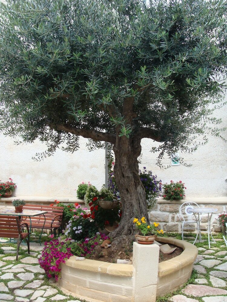 Hostal Guest House Al Gattopardo