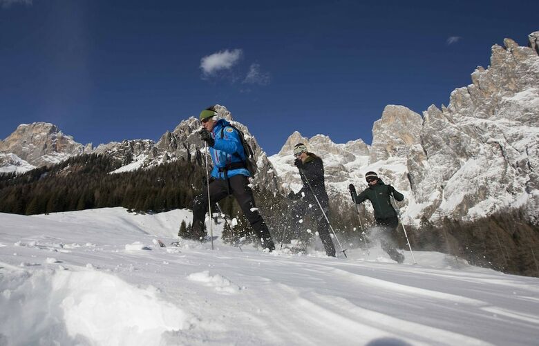 Hotel Brunet - The Dolomites Resort